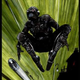 Illustration for article titled Pérák the Spring-Man; from urban legend to anti-fascist superhero